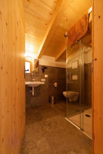 a bathroom with a shower and a toilet and a sink at Fleckhof in Neustift im Stubaital