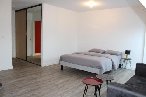 ein Schlafzimmer mit einem Bett, einem Sofa und einem Spiegel in der Unterkunft STUDIO COCON ULTRA CENTRE LE MANS in Le Mans