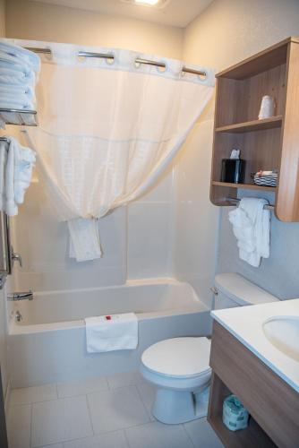 a bathroom with a toilet and a tub and a sink at Microtel Inn & Suites by Wyndham Carlisle in Carlisle