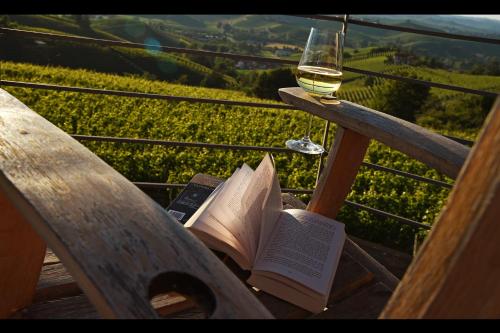 a book and a glass of wine sitting on a bench at Casa Sobrero in Castiglione Falletto