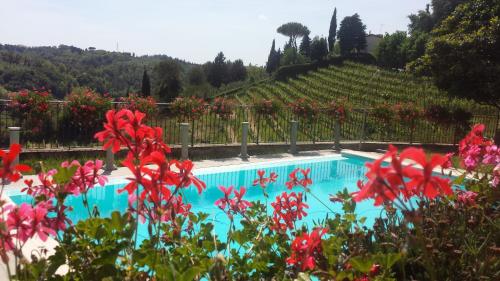 - une piscine avec des fleurs rouges en face d'un vignoble dans l'établissement RESIDENCE IL VIGNETO, à Lari