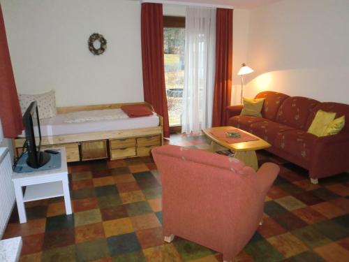 a living room with a couch and a tv at Ferienwohnungen Federleicht in Titisee-Neustadt