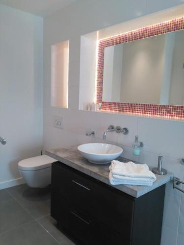 a bathroom with a sink and a toilet and a mirror at Hotel De Wilde Kriek in Valkenburg