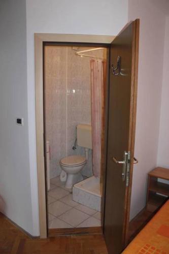 a bathroom with a toilet and a shower at Youth Hostel Nika in Kranjska Gora