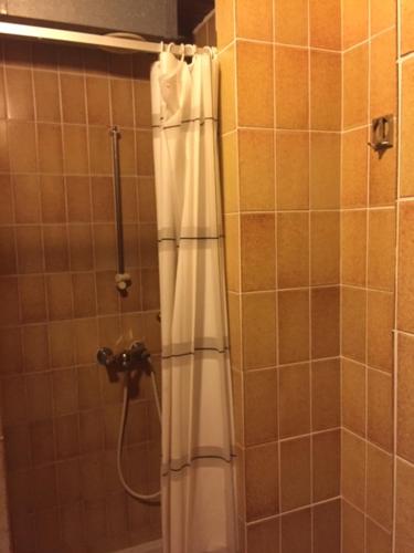 a shower with a white shower curtain in a bathroom at Youth Hostel Nika in Kranjska Gora