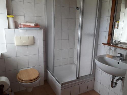 a bathroom with a shower and a toilet and a sink at SPREEHOF Göbeln in Großdubrau