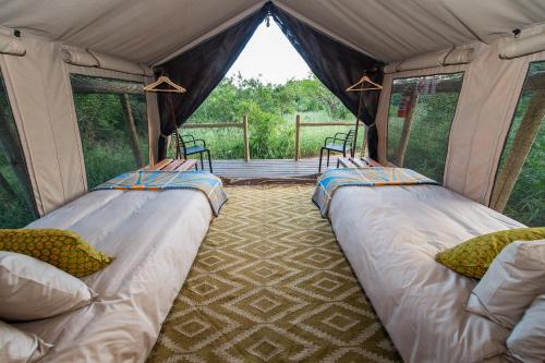 2 camas en una tienda de campaña con vistas al bosque en Zululand Lodge, en Hluhluwe