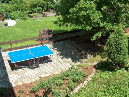 a blue ping pong table in a garden at Ferienwohnung am Kneipp-Park in Scheidegg