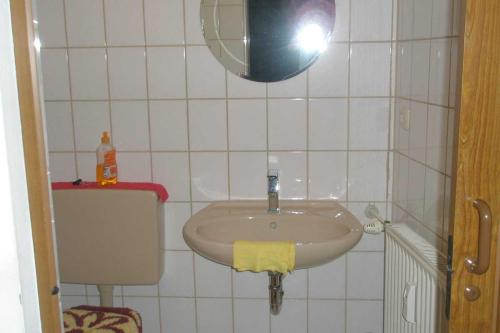 La petite salle de bains est pourvue d'un lavabo et d'un miroir. dans l'établissement Singerstr 14, à Nuremberg