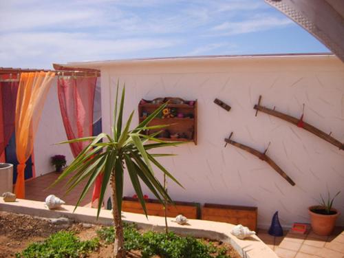 uma pequena palmeira em frente a um edifício em Blue Bab B&B em Lampedusa