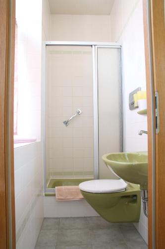 a bathroom with a shower and a toilet and a sink at Gasthaus zum Lamm in Ettenheim