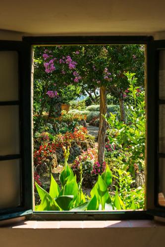 a view of a garden through a window at Hotel Villa Casalecchi in Castellina in Chianti