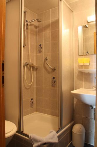 a bathroom with a shower and a toilet and a sink at Gasthaus zum Lamm in Ettenheim