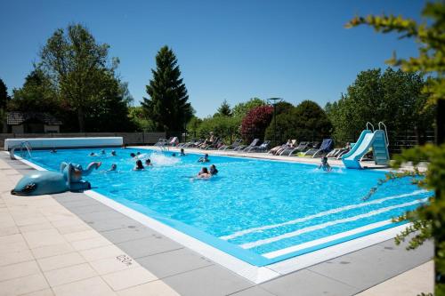 een groep mensen die zwemmen in een zwembad bij Appartement Am Hohenbusch in Burg-Reuland