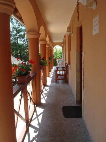 an empty hallway of a building with flowers on it at Tímea Vendégház in Demjén