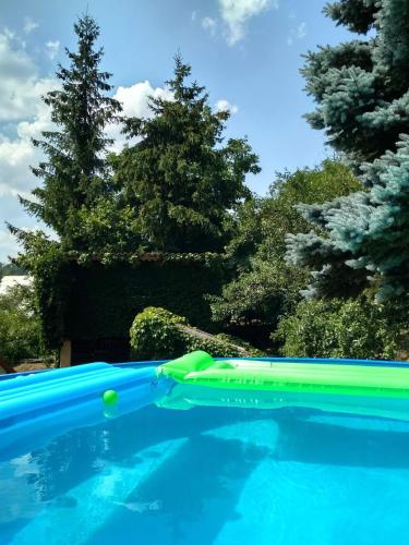 a green and blue pool with trees in the background at Chalupa pod zámkem in Mnichovo Hradiště