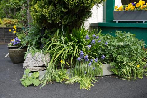 a display of flowers and plants in a garden at The Haven in Windermere