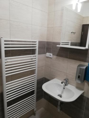 a bathroom with a sink and a mirror at Apartmany Agatha in Loučná nad Desnou