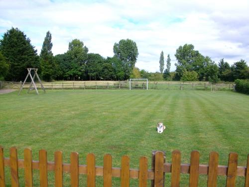 a dog standing in the middle of a soccer field at The Old Cowstall in Somerton