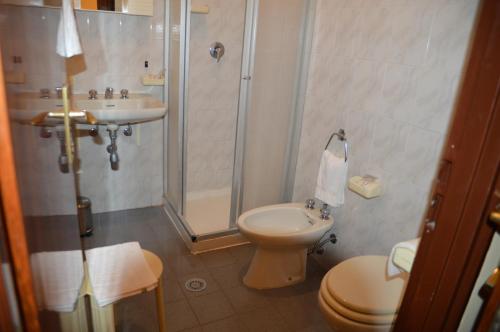 a bathroom with a toilet and a shower and a sink at Hotel Virgilio in Tropea