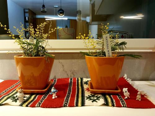 Central Luxury Apartment – Photos 3