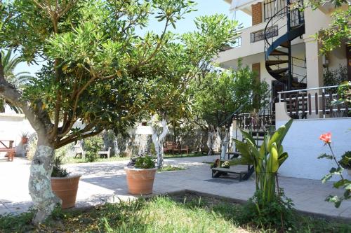 Modern Apartment with Garden