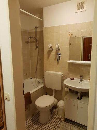 a bathroom with a toilet and a sink at City Appartement 5 in Freiburg im Breisgau