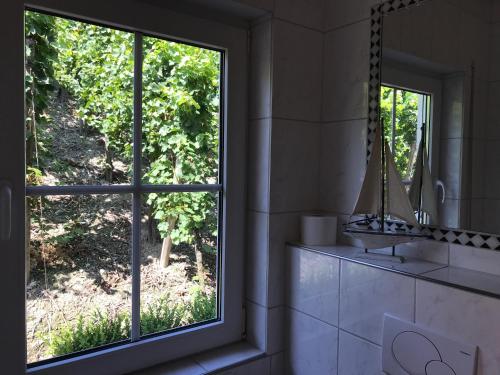 een raam in een badkamer met uitzicht op een tuin bij Ferienwohnung Karl in Kesten