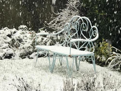 a snow covered bench sitting in a garden at SPRING GARDENS B&B in Wadebridge