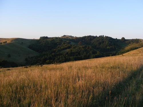 a field of grass with a hill in the background at Falubíró Vendégháza in Bekölce