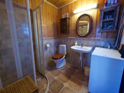 a bathroom with a toilet and a sink and a mirror at Seaside View Lofoten in Bøstad