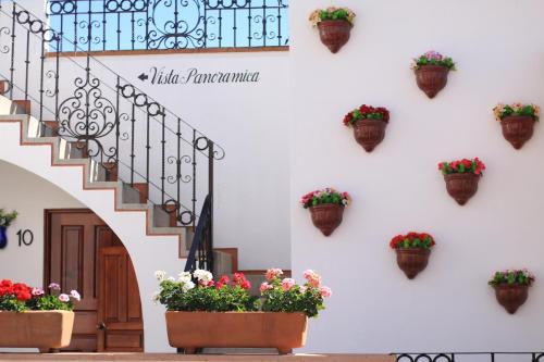 a wall with potted plants on the side of a building at Hotel Santa Paula in Taxco de Alarcón