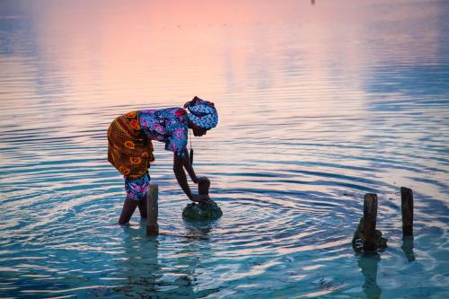 a woman standing in the water with a ball at SeVi Boutique Hotel in Matemwe