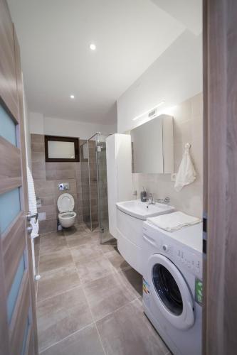 a bathroom with a washing machine and a toilet at Central apartment- Shumi's in Cluj-Napoca