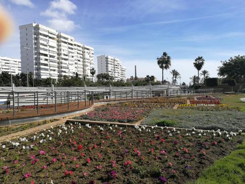 Japan Beach Parque del Oeste