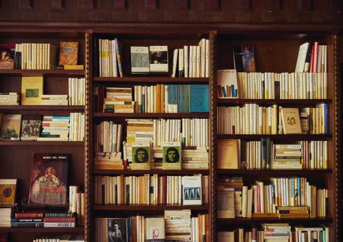 Bibliothèque dans le ryokan