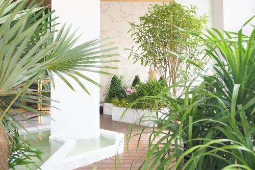 a courtyard with plants in a building at SN Connx - SHA Plus in Pattaya Central