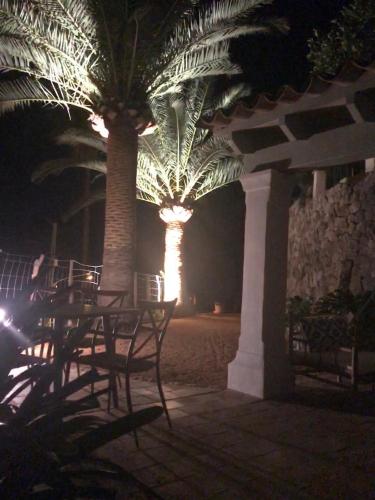a patio with a table and palm trees at night at Ca Sa Padrina in Sóller