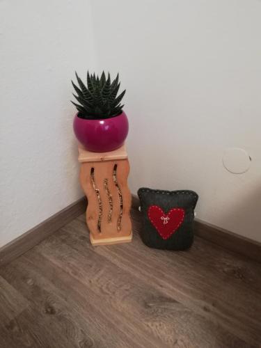 a plant in a pot on a wooden stand next to a planter at Schmaranzer in Bad Ischl