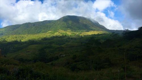 a mountain covered in green vegetation with a cloudy sky at Wild Glamping Knuckles - Thema Collection in Rangala