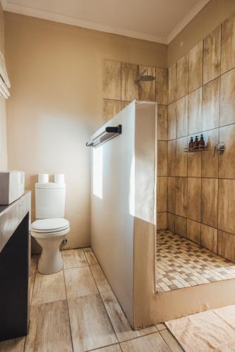 a bathroom with a shower and a toilet in it at Strawberry Hill Farm in Heidelberg