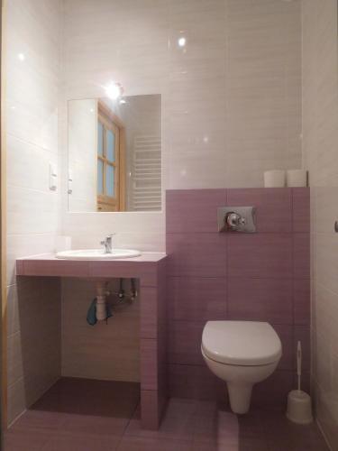 a bathroom with a toilet and a sink and a mirror at Gospodarstwo Pytlówka Sokalski Michał in Tarczek