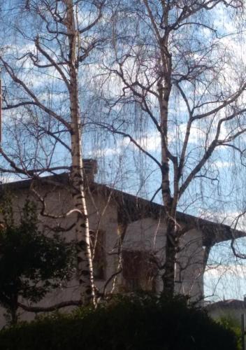 a building with two trees in front of it at Le Betulle in Zanica