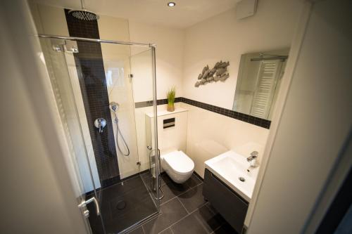 a bathroom with a shower and a toilet and a sink at Abendsonne in Westerland