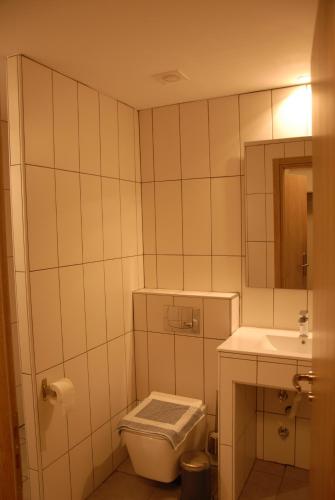 塞薩羅尼基的住宿－citizen 9，一间带卫生间和水槽的浴室