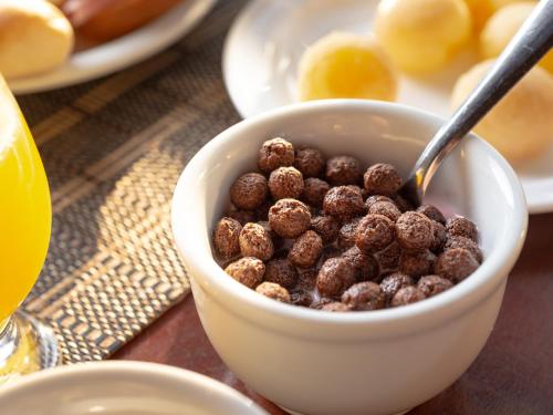 a bowl of chocolate balls with a spoon in it at Hotel Costa Norte Massaguaçu in Caraguatatuba