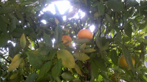 Hotellerie Waldesruh – Photos 2