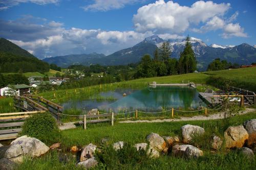 a swimming pool in a field with mountains in the background at Naturhotel Reissenlehen in Bischofswiesen