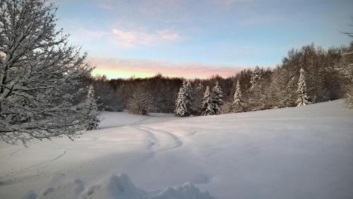 a snow covered field with trees in the background at Guesthouse Bor Plitvice Lakes in Plitvička Jezera