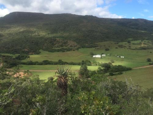 a view of a green field with a mountain at Kromrivier Farm Stays & B&B Near Addo Elephant Park in Paterson